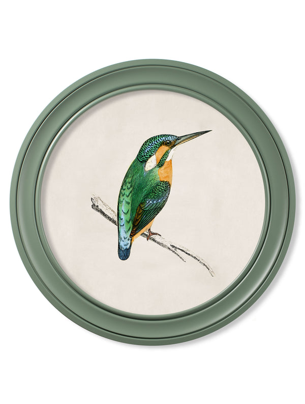 c.1870 Kingfisher and Bee Eater - Round Frame Green