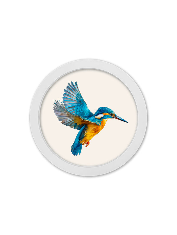 Watercolour Kingfishers - 30cm White Round Box Frame