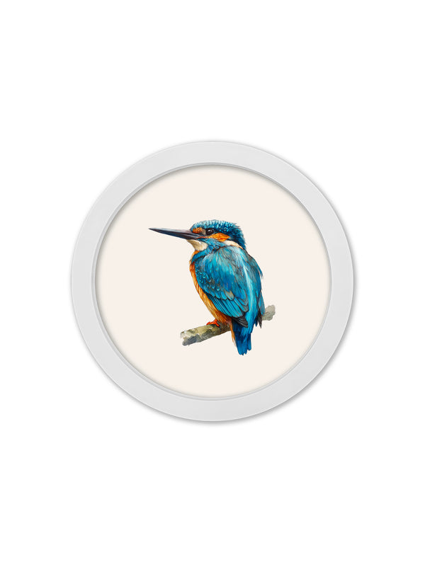 Watercolour Kingfishers - 30cm White Round Box Frame