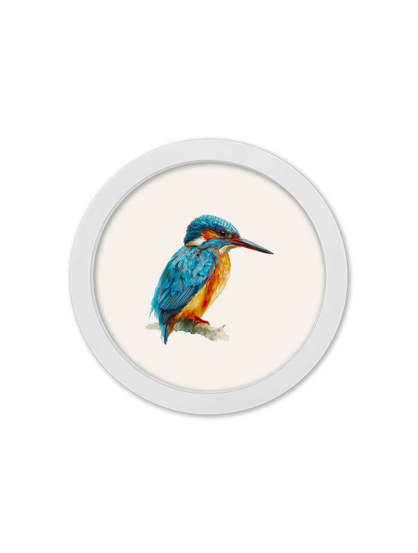 Watercolour Kingfishers - 30cm White Round Box Frame