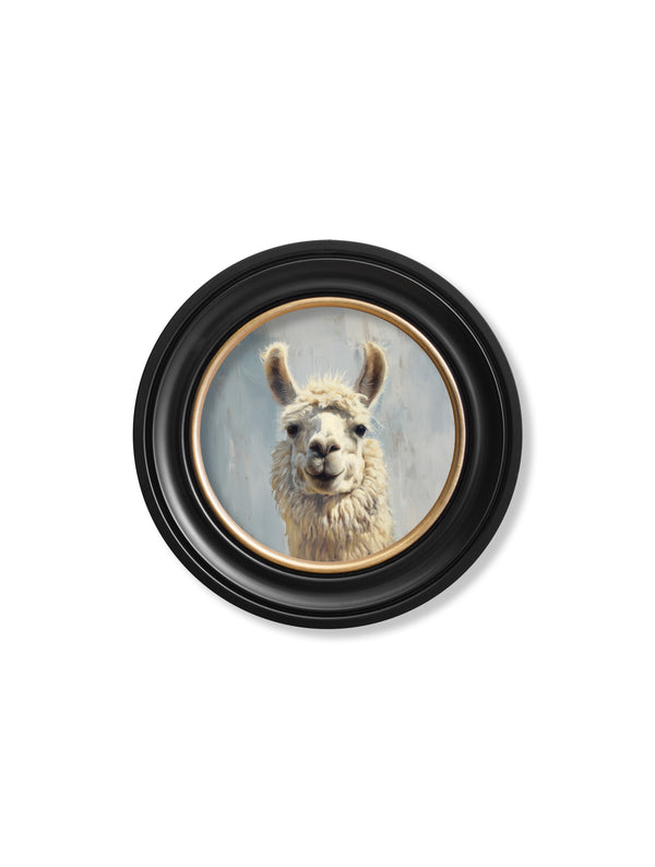 The Goofy Llama - Oxford Round Frame