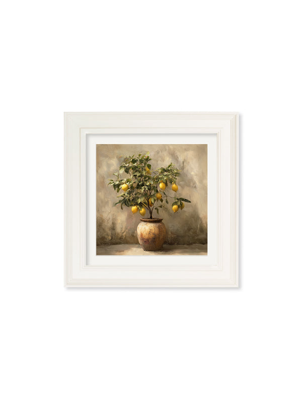 Mediterranean Lemon Tree - Cream Hurstwood Square Frame
