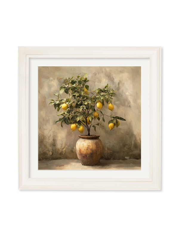 Mediterranean Lemon Tree - Cream Hurstwood Square Frame