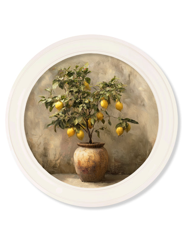 Mediterranean Lemon Tree - Oxford Strong White Round Frame