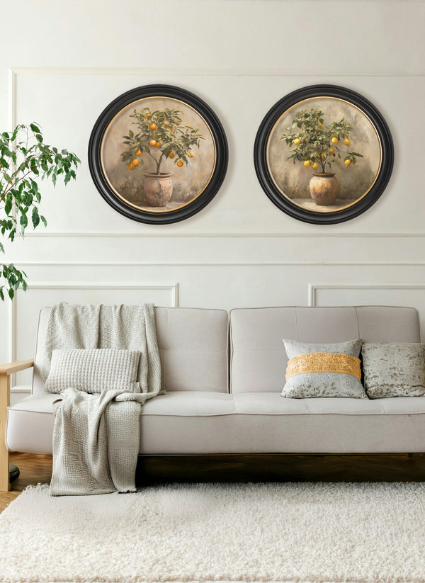 Mediterranean Orange Tree - Oxford Round Frame