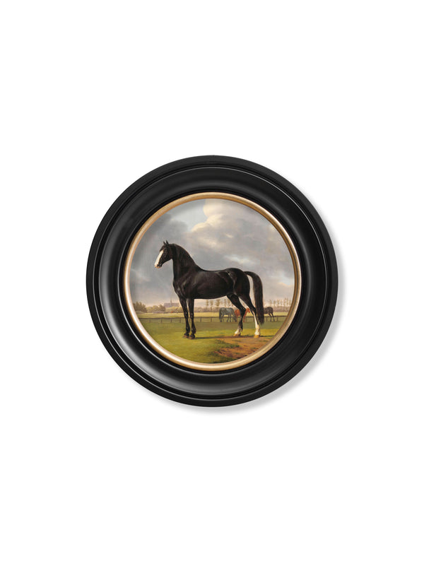 c.1840 Horses - Round Frame