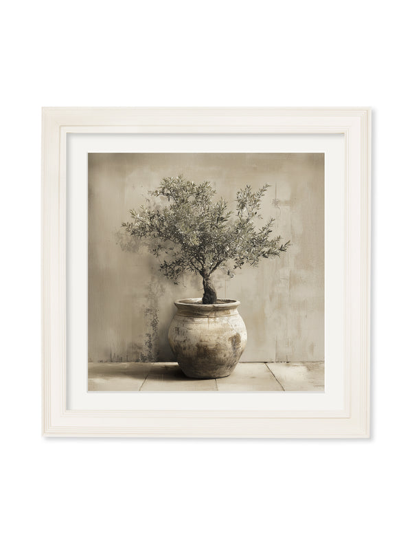 The Olive Tree - Cream Hurstwood Square Frame