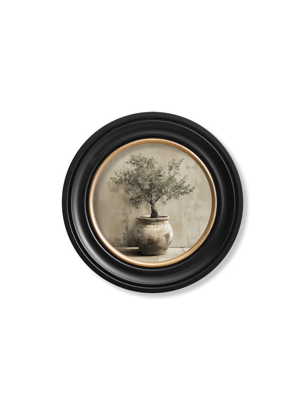 The Olive Tree - Oxford Round Frame