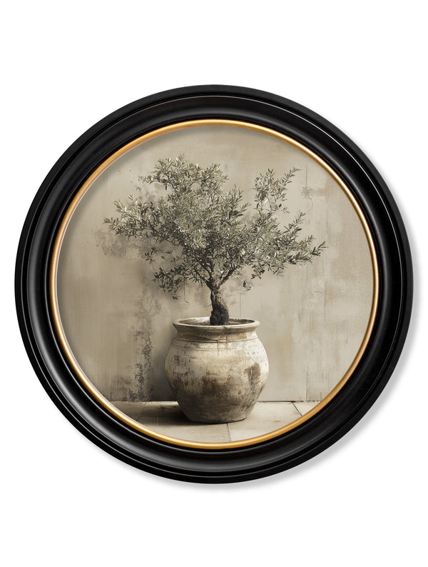The Olive Tree - Oxford Round Frame