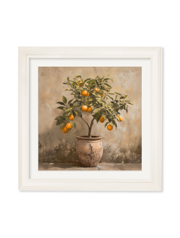 Mediterranean Orange Tree - Cream Hurstwood Square Frame