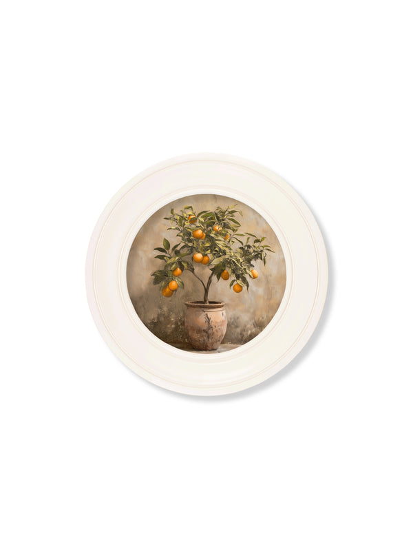 Mediterranean Orange Tree - Oxford Strong White Round Frame