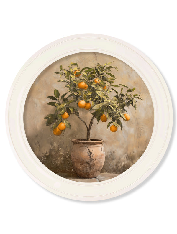 Mediterranean Orange Tree - Oxford Strong White Round Frame