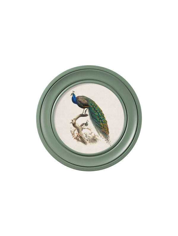 c.1800s Peacock in Green Round Frame