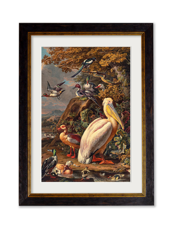 c.1683 Pelican Painting