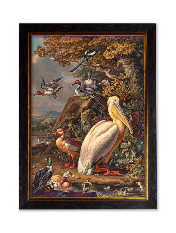 c.1683 Pelican Painting