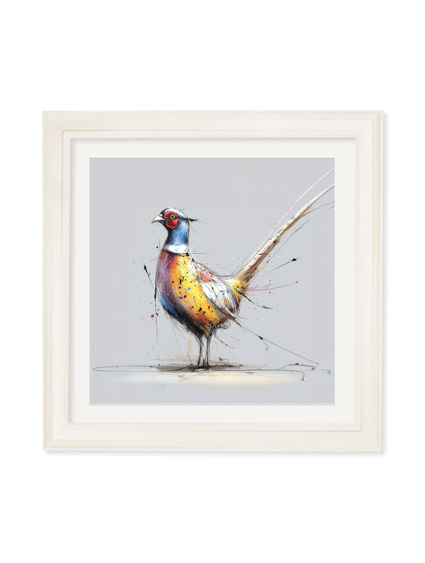 Plump Pheasant Cosy Sketch - Cream Hurstwood Square Frame
