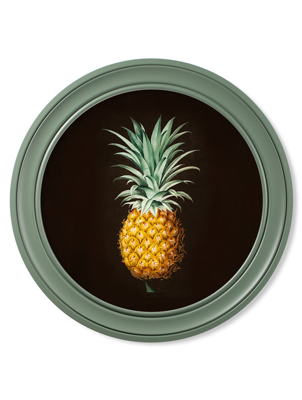 c.1812 Pineapple Study (Black) - Green Round Frame