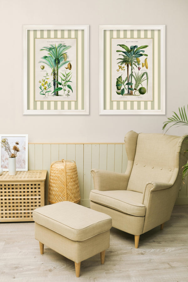 c.1877 Plants Used as Food and Clothing with Striped Mount - Cream Hurstwood Frame