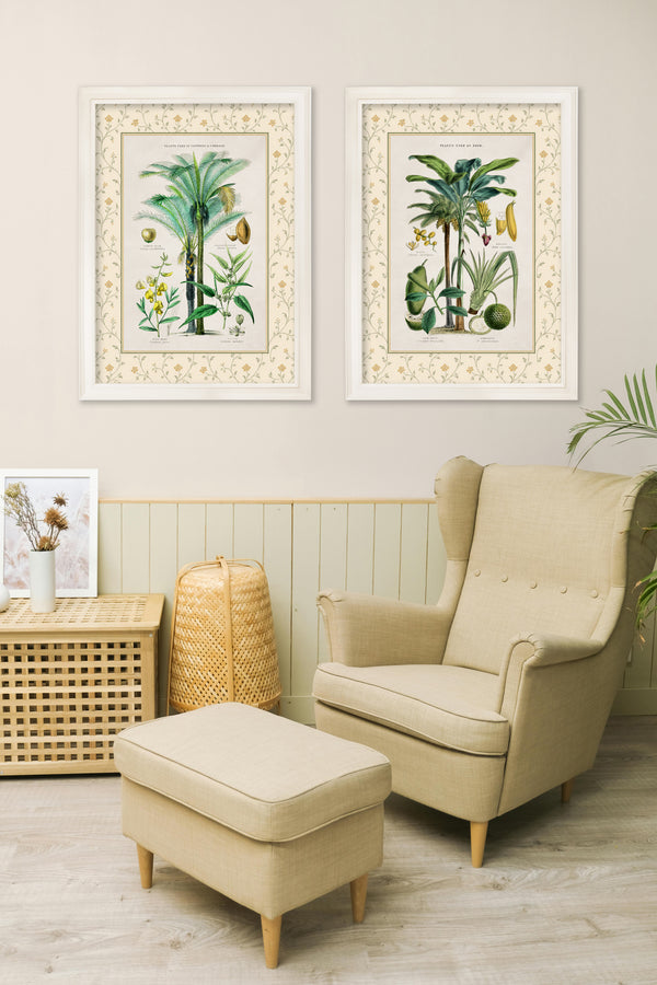 c.1877 Plants Used as Food and Clothing with Floral Mount - Cream Hurstwood Frame