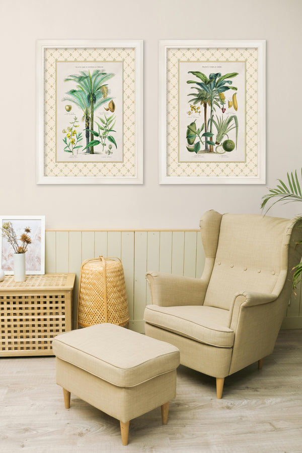 c.1877 Plants Used as Food and Clothing with Trellis Mount - Cream Hurstwood Frame