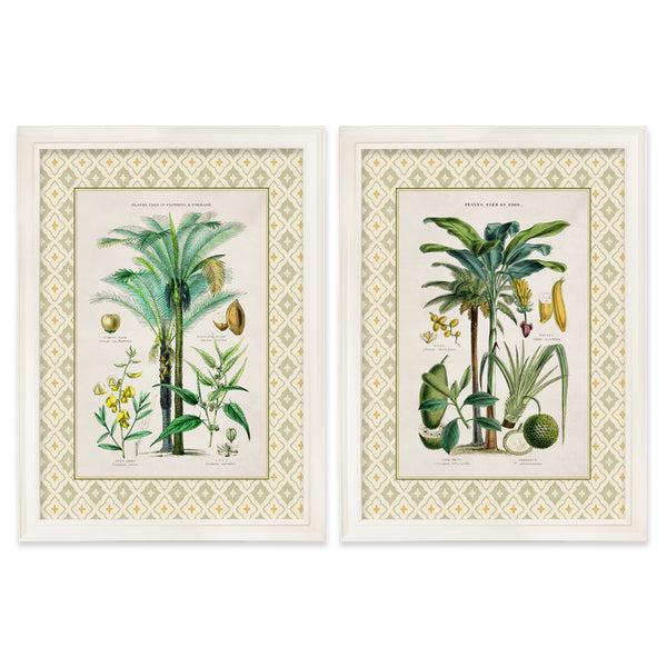 c.1877 Plants Used as Food and Clothing with Tile Mount - Cream Hurstwood Frame