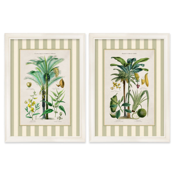 c.1877 Plants Used as Food and Clothing with Striped Mount - Cream Hurstwood Frame