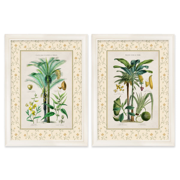 c.1877 Plants Used as Food and Clothing with Floral Mount - Cream Hurstwood Frame