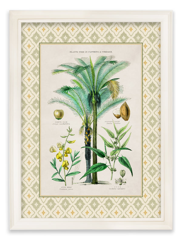 c.1877 Plants Used as Food and Clothing with Tile Mount - Cream Hurstwood Frame