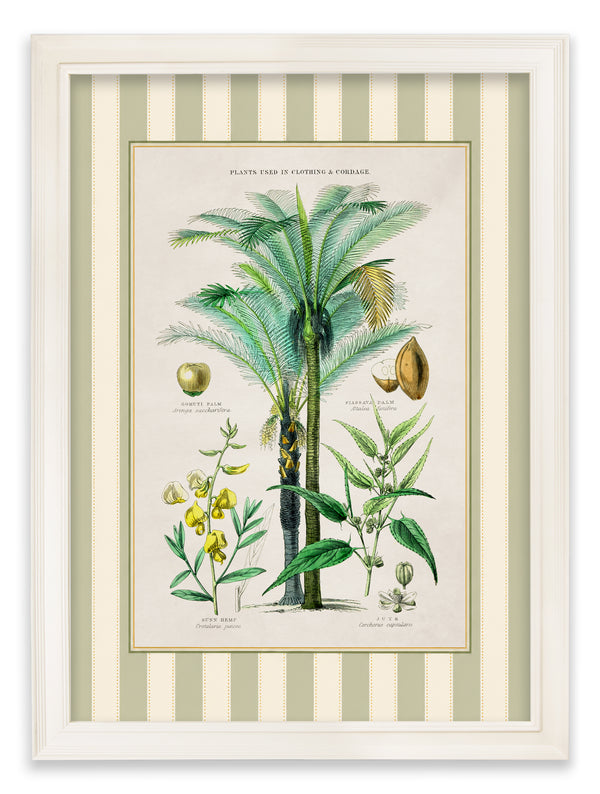 c.1877 Plants Used as Food and Clothing with Striped Mount - Cream Hurstwood Frame