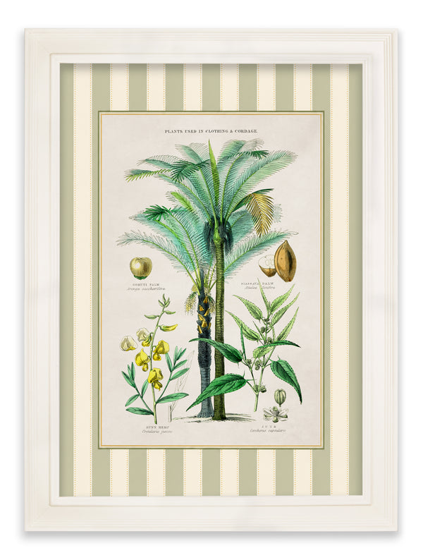 c.1877 Plants Used as Food and Clothing with Striped Mount - Cream Hurstwood Frame