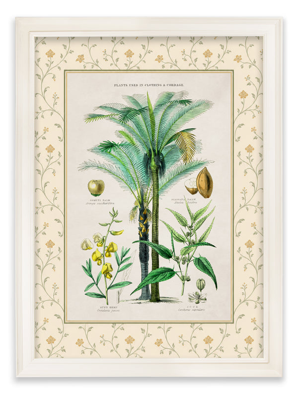 c.1877 Plants Used as Food and Clothing with Floral Mount - Cream Hurstwood Frame