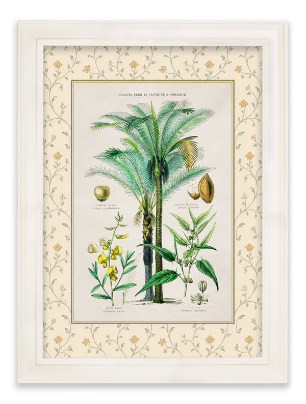 c.1877 Plants Used as Food and Clothing with Floral Mount - Cream Hurstwood Frame