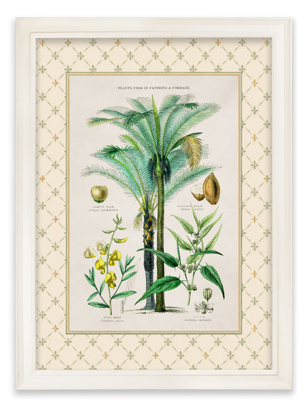 c.1877 Plants Used as Food and Clothing with Trellis Mount - Cream Hurstwood Frame
