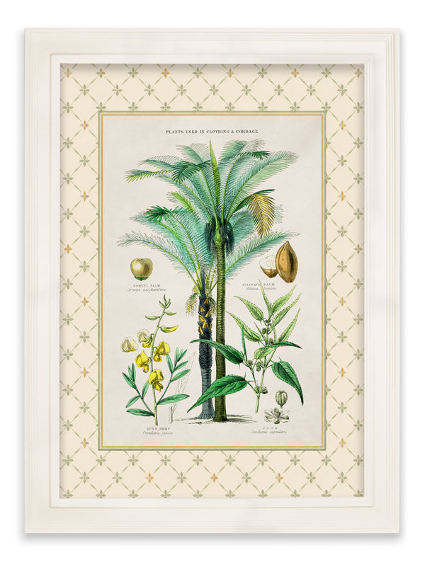c.1877 Plants Used as Food and Clothing with Trellis Mount - Cream Hurstwood Frame
