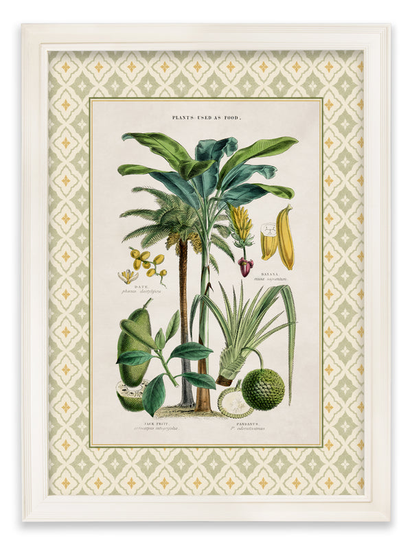 c.1877 Plants Used as Food and Clothing with Tile Mount - Cream Hurstwood Frame