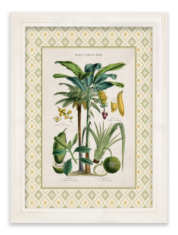 c.1877 Plants Used as Food and Clothing with Tile Mount - Cream Hurstwood Frame