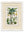 c.1877 Plants Used as Food and Clothing with Floral Mount - Cream Hurstwood Frame