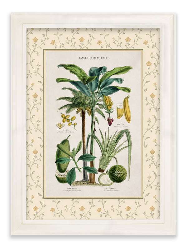 c.1877 Plants Used as Food and Clothing with Floral Mount - Cream Hurstwood Frame