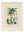c.1877 Plants Used as Food and Clothing with Trellis Mount - Cream Hurstwood Frame