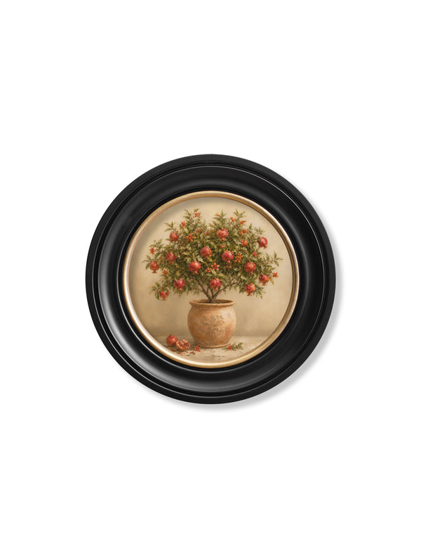 The Pomegranate Tree - Oxford Round Frame