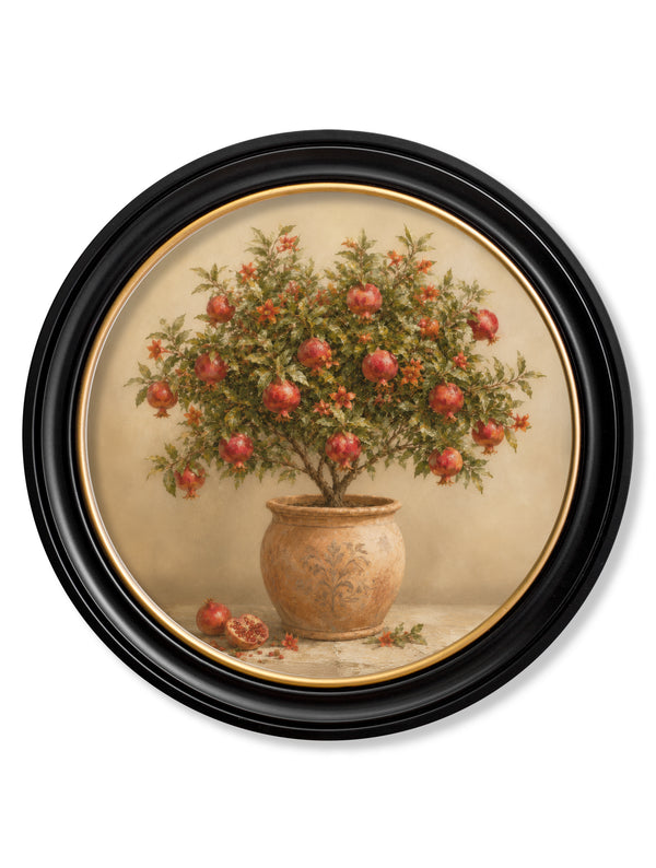 The Pomegranate Tree - Oxford Round Frame