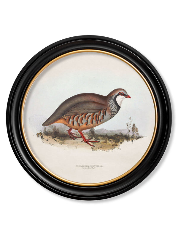 c.1837's British Game Birds - Round