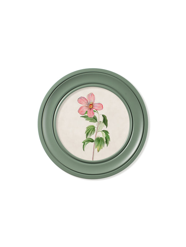 c.1780 Flowering Plants Round Frame Green