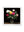 Roses After Dark - White Hurstwood Square Frame