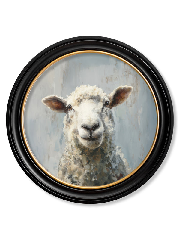 The Jolly Sheep - Oxford Round Frame