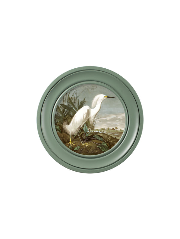 c.1838 Audubon's Snowy Heron in Green Frame