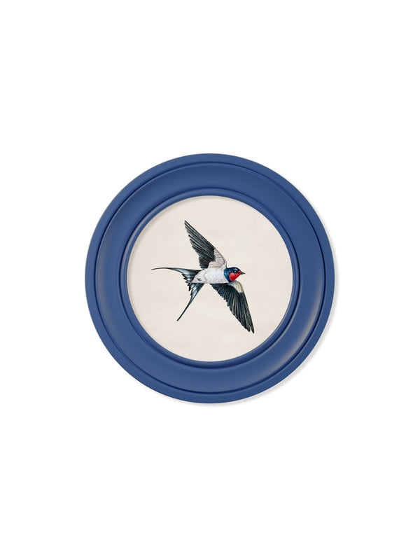 c.1875 Swallows in Round Frames Blue