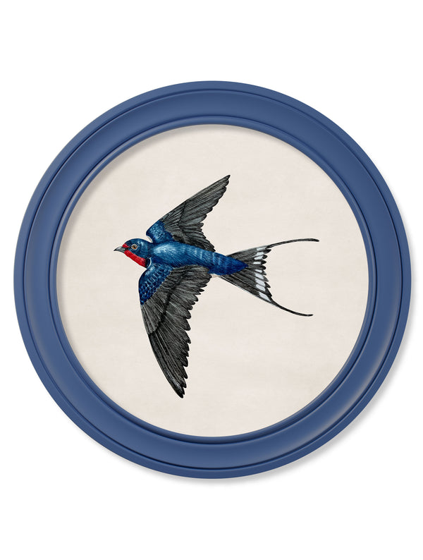 c.1875 Swallows in Round Frames Blue