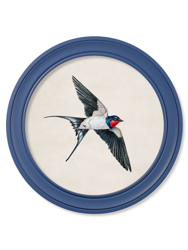 c.1875 Swallows in Round Frames Blue