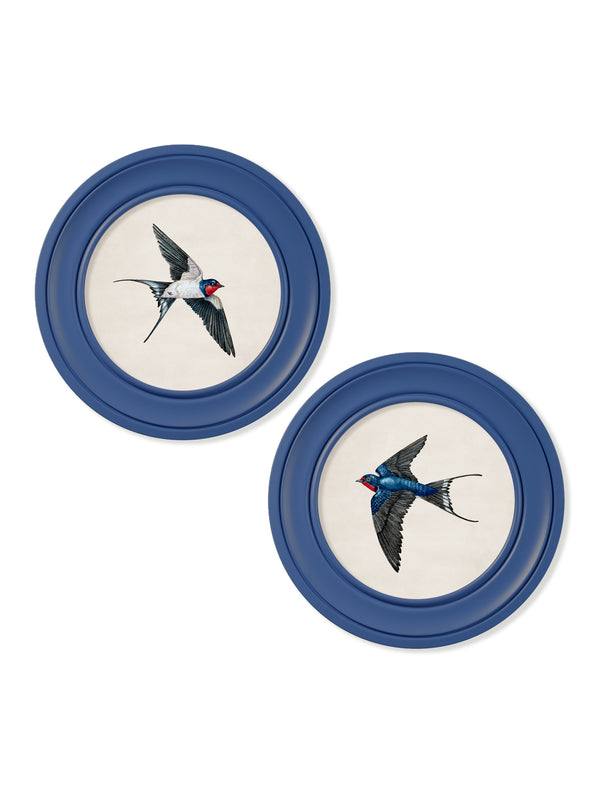 c.1875 Swallows in Round Frames Blue